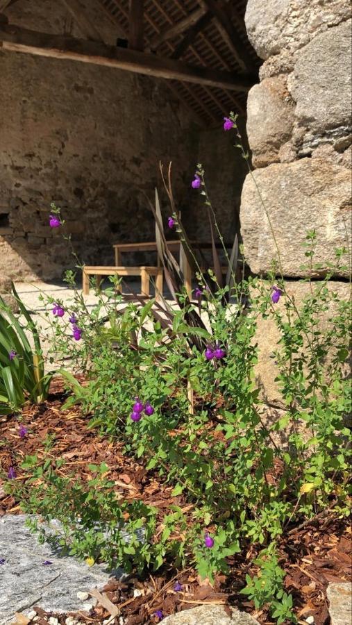 Château de la Garnison Acomodação com café da manhã Orvault Exterior foto