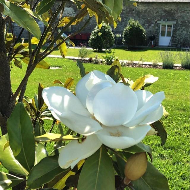 Château de la Garnison Acomodação com café da manhã Orvault Exterior foto